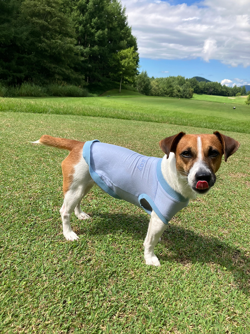 下期準グランプリ　ロイくん