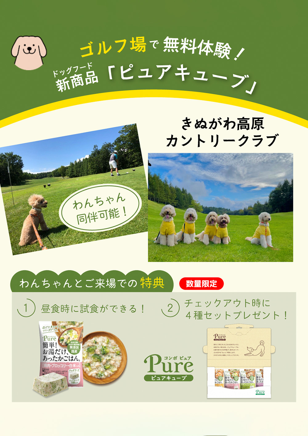 ピュアキューブ