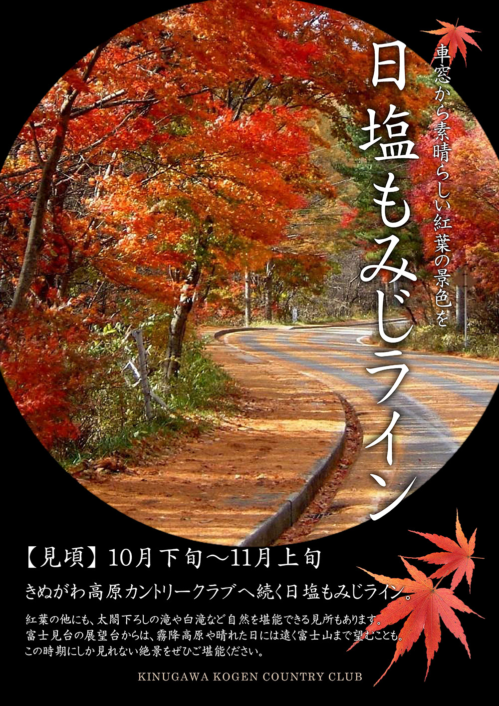 日塩紅葉ラインのご紹介